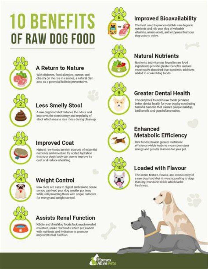 Understanding the Meaning of "Raw Dog"